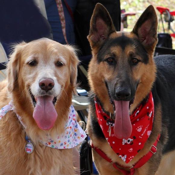 Meet your Posher, Pamela - Picture 1 of 1